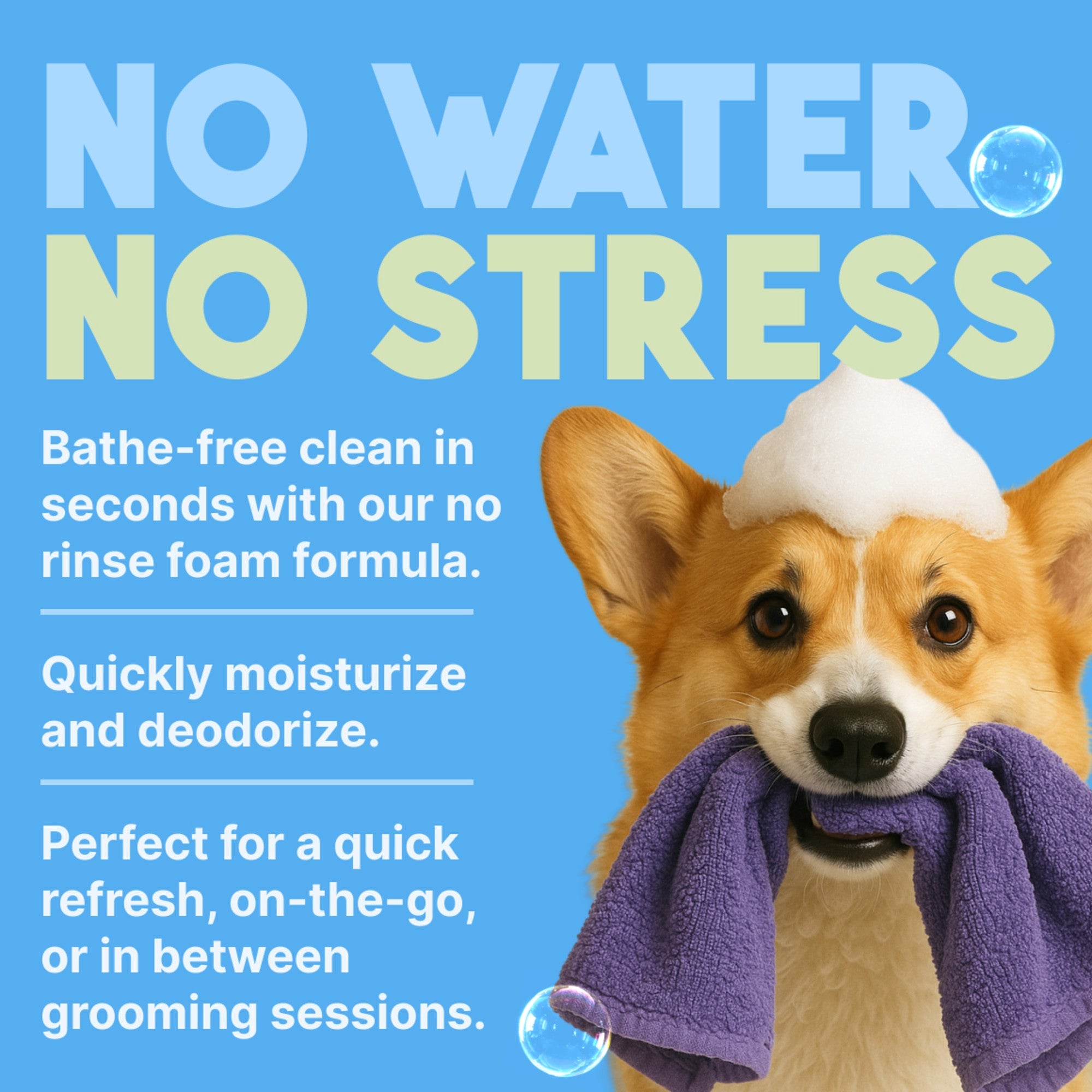 Dog with a bath towel and foam on a blue background with text about a no water, no stress product.