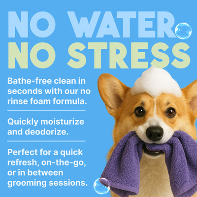 Dog with a bath towel and foam on a blue background with text about a no water, no stress product.