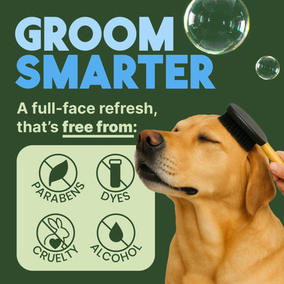 Dog being groomed with a brush, featuring 'Groom Smarter' text and ingredient-free icons on a green background.