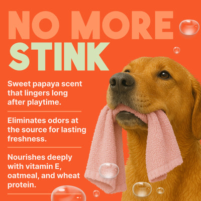 TropiClean Papaya Mist Deodorizing Spray for Pets