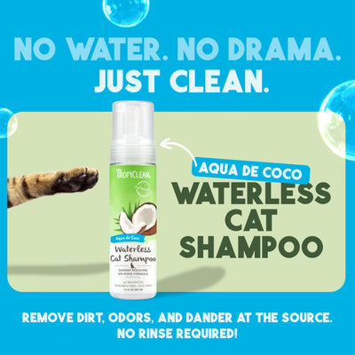 Shampoing réducteur de squames sans eau pour chat Tropiclean