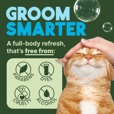 Shampoing réducteur de squames sans eau pour chat Tropiclean