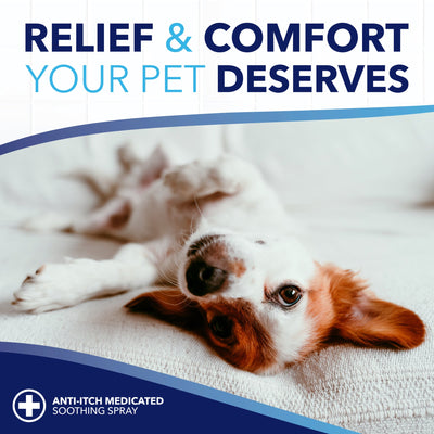 TropiClean Oxymed Medicated Anti Itch Spray for Pets