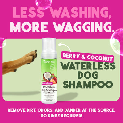 TropiClean Deep Cleansing Waterless Dog Shampoo
