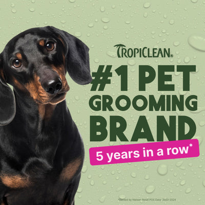 TropiClean Berry Breeze Deodorizing Spray for Pets