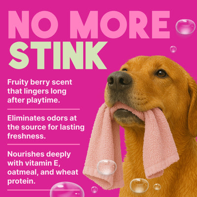 TropiClean Berry Breeze Deodorizing Spray for Pets