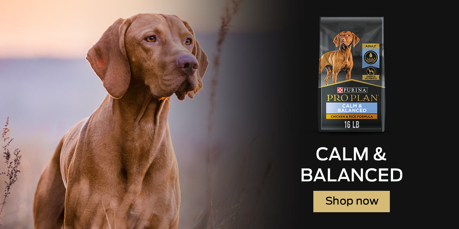 Buy Pro Plan Calm and Balance Dog Food Online in Canada at PetMax.ca