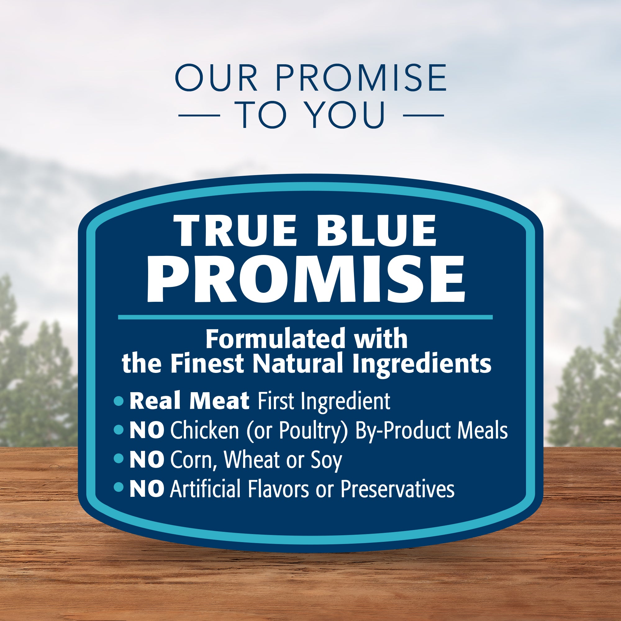 Blue Buffalo Wilderness Canned Cat Food Turkey - Image 3 - Blue Buffalo - PetMax Canada