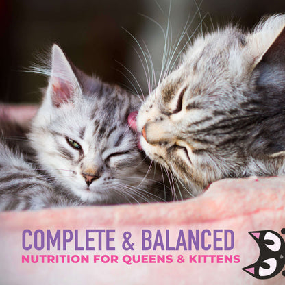 Tiki Baby Cat Weaning Puree Chicken & Chicken Liver Recipe in Broth