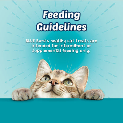 Blue Buffalo Bursts Crunchy Cat Treats Seafood Flavour - Image 6 - Blue Buffalo - PetMax Canada