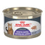 Royal Canin Appetite Control Loaf in Sauce Canned Cat Food - 145g - Canned Cat Food - Royal Canin - PetMax Canada
