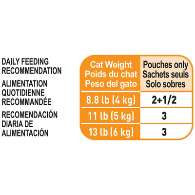 Royal Canin Cat Pouches Chunks In Gravy Adult Hair & Skin - 85g - Canned Cat Food - Royal Canin - PetMax Canada