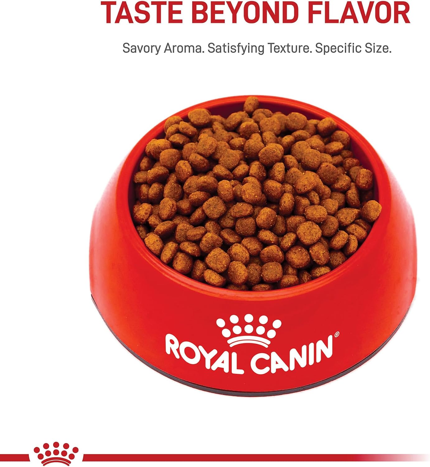Royal Canin Breed Health Nutrition Cavalier King Charles Puppy Dry Dog Food
