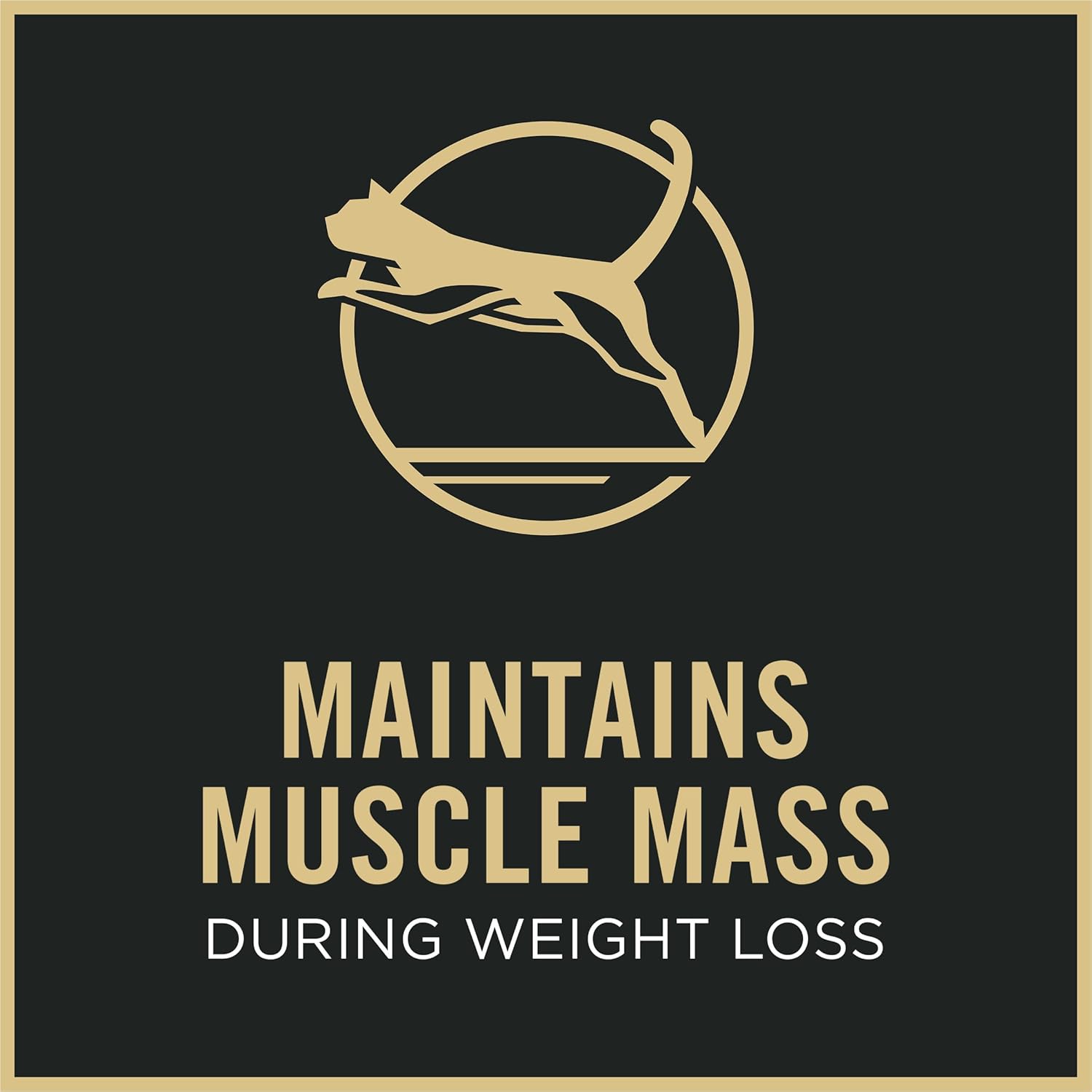 Purina Pro Plan Focus Adult Weight Management Chicken and Rice Wet Cat Food