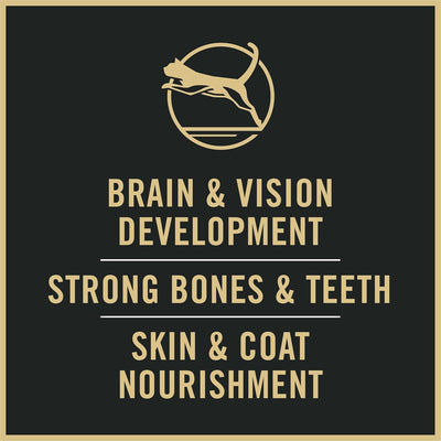 Purina Pro Plan Complete Essentials Dry Kitten Food Chicken & Rice Formula