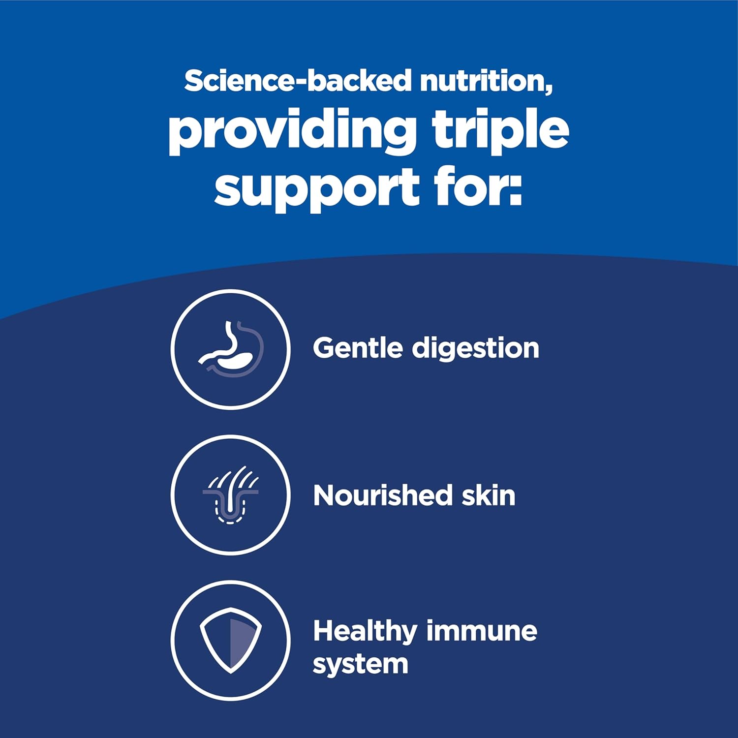 Hill's Science Diet Adult Sensitive Stomach & Skin Salmon Recipe Dry Dog Food