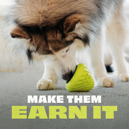 Benebone Natural Rubber Cone Dog Toys
