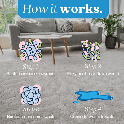 Eco Strong Pet Stain & Odor Sprayer