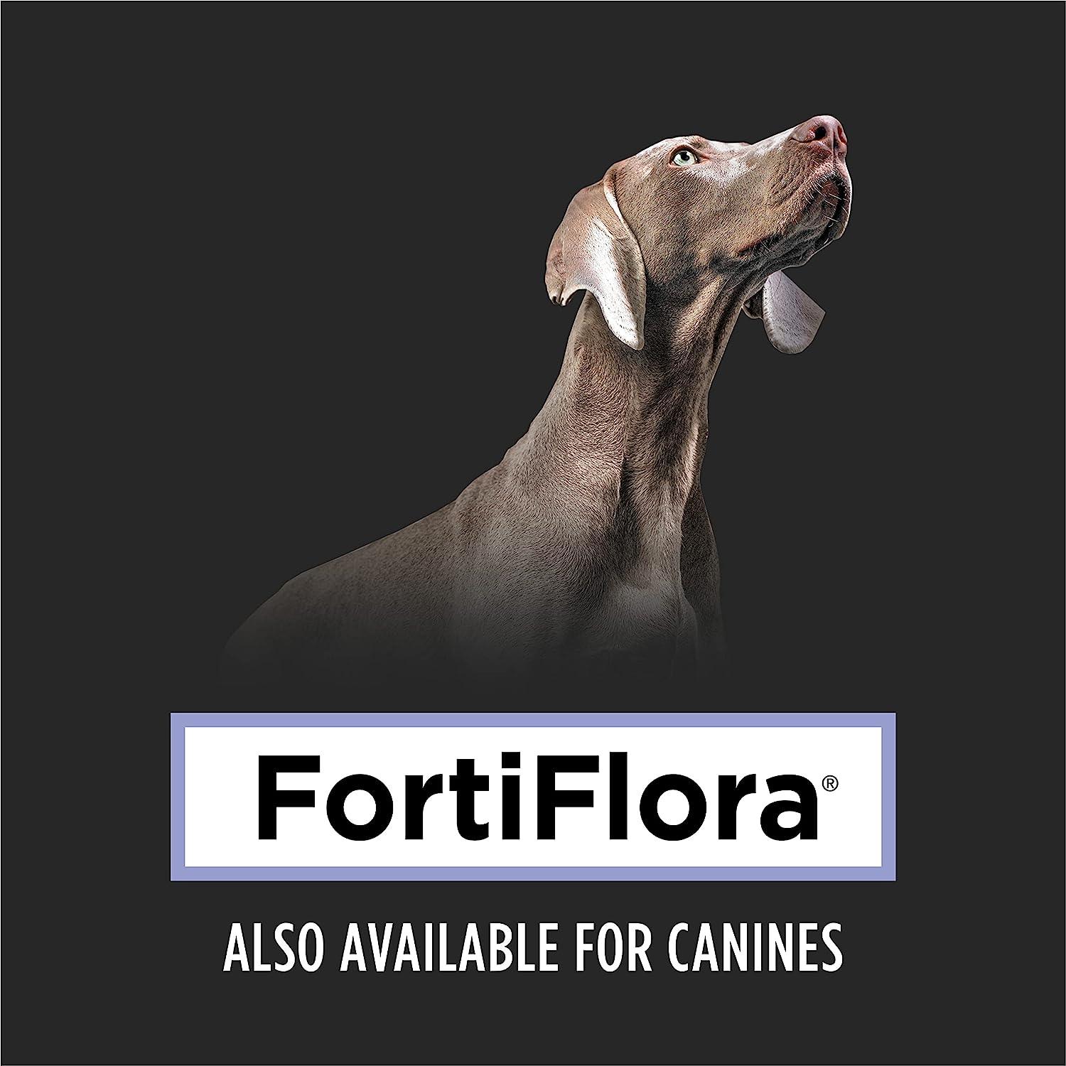 Purina Pro Plan Veterinary FortiFlora Probiotic Cat Supplement - 30g - Cat Supplements - Purina Pro Plan - PetMax Canada