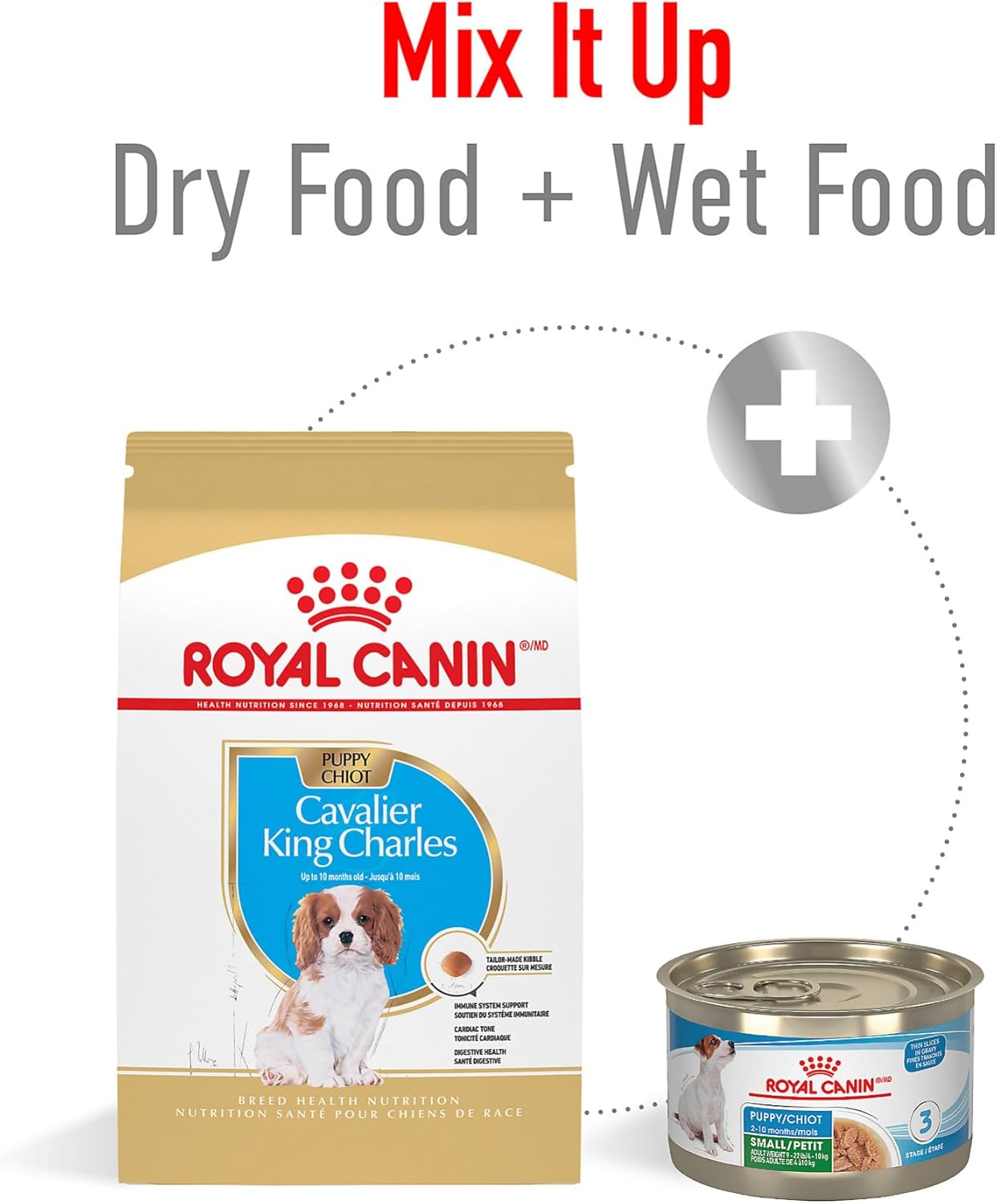 Royal Canin Breed Health Nutrition Cavalier King Charles Puppy Dry Dog Food