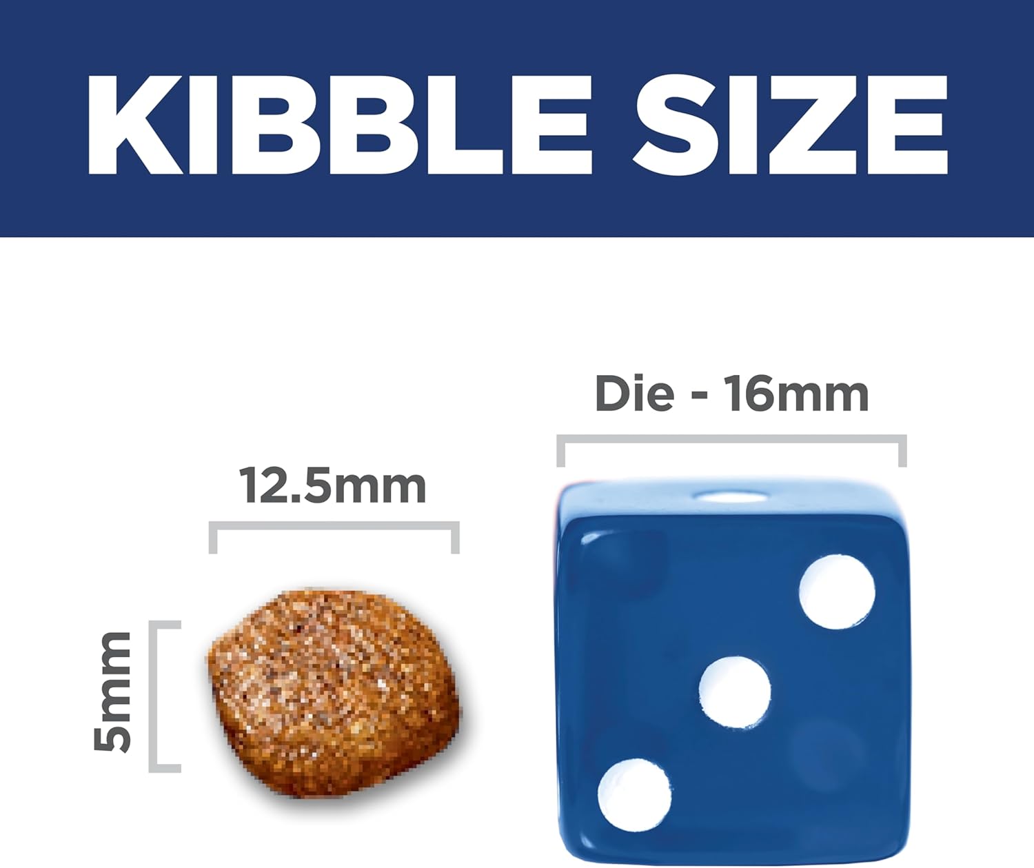 Hill's Science Diet Adult Sensitive Stomach & Skin Salmon Recipe Dry Dog Food