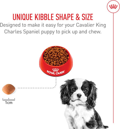 Royal Canin Breed Health Nutrition Cavalier King Charles Puppy Dry Dog Food