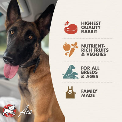 Fromm Four Star Canine Hasen Duckenpfeffer Recipe