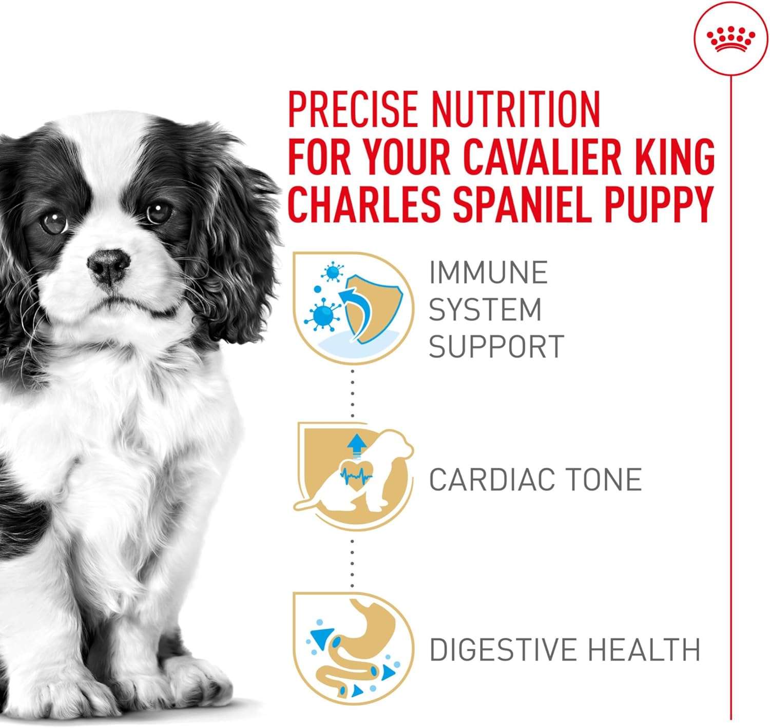 Royal Canin Breed Health Nutrition Cavalier King Charles Puppy Dry Dog Food