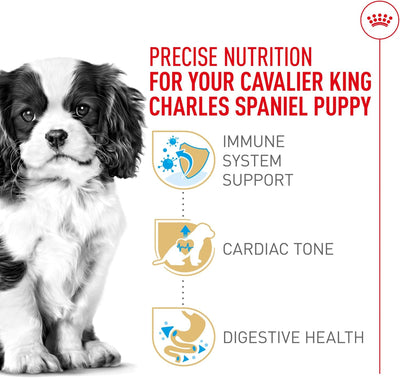 Royal Canin Breed Health Nutrition Cavalier King Charles Puppy Dry Dog Food