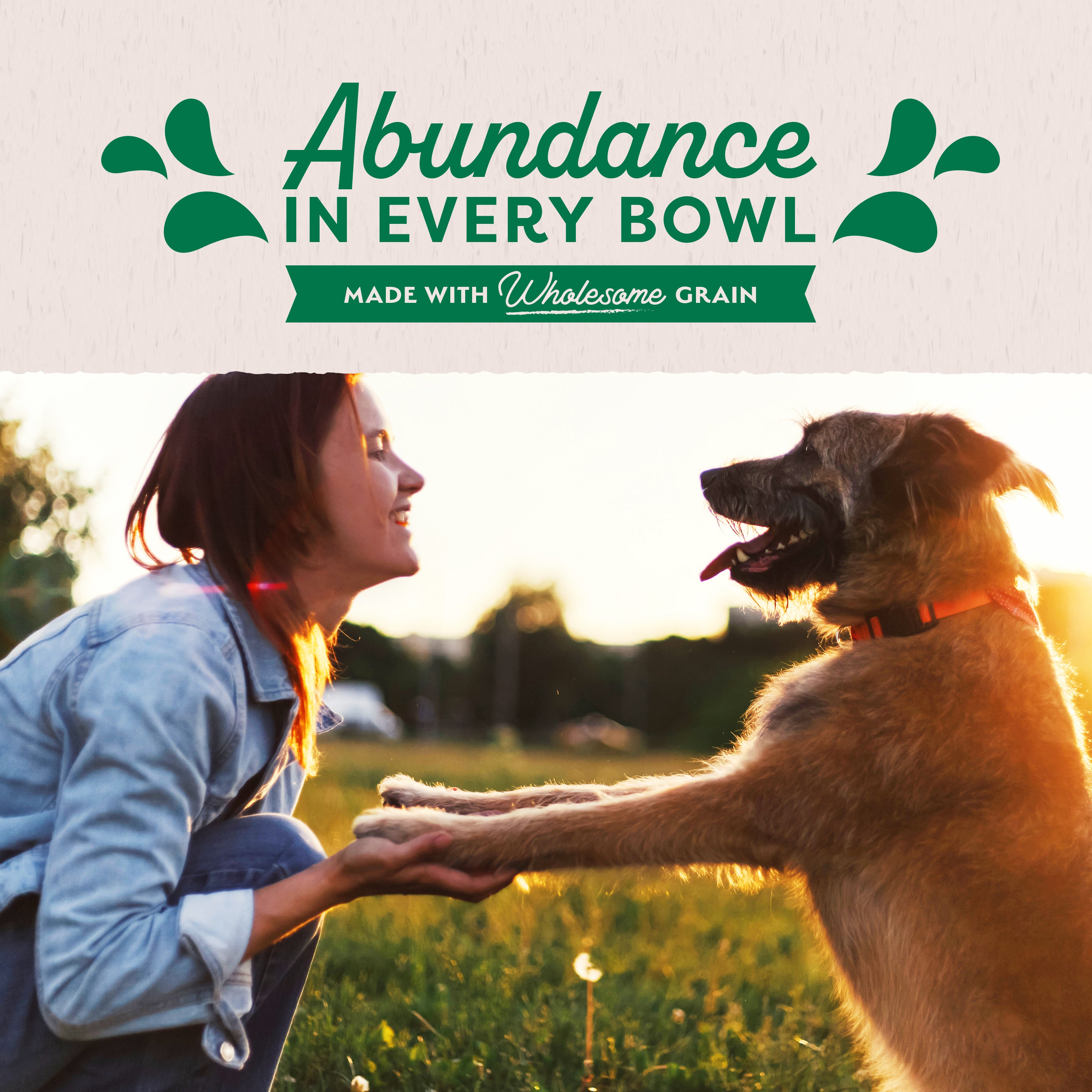 Nourriture en conserve pour chiens Natural Balance Agneau
