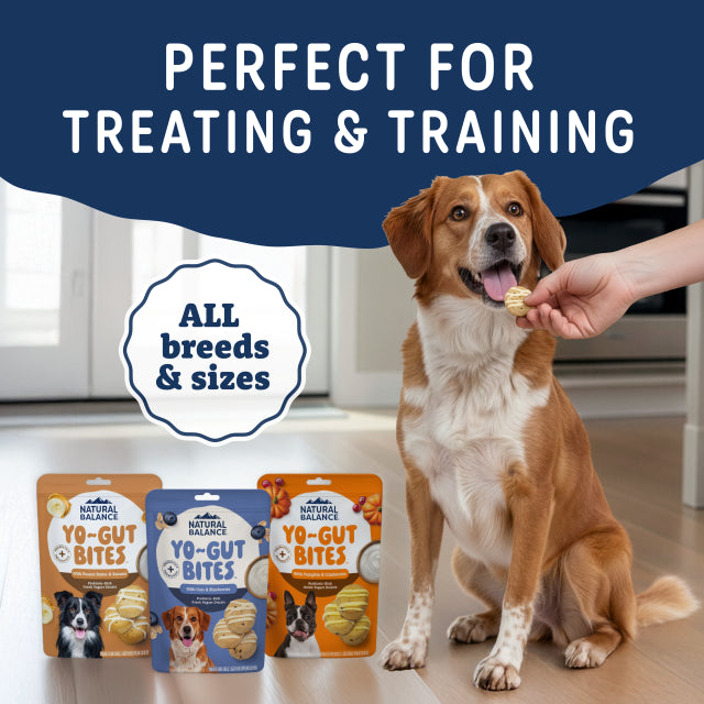 Natural Balance Yo-Gut Bites With Peanut Butter & Banana Dog Treats - Feeding Guidelines