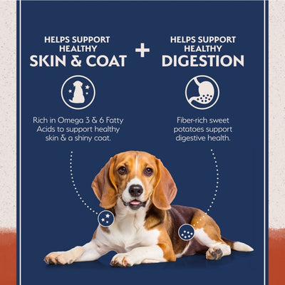 Nourriture pour chiens Natural Balance Limited Ingredient Diet Saumon et patates douces