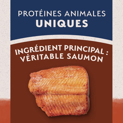 Natural Balance Limited Ingredient Diet Salmon & Sweet Potato Dog Food