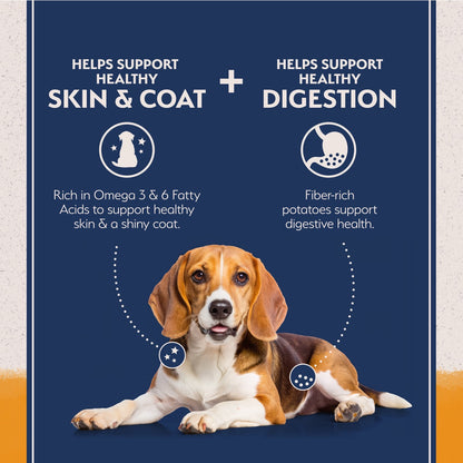 Natural Balance Limited Ingredient Diet Grain Free Duck and Potato Dog Food