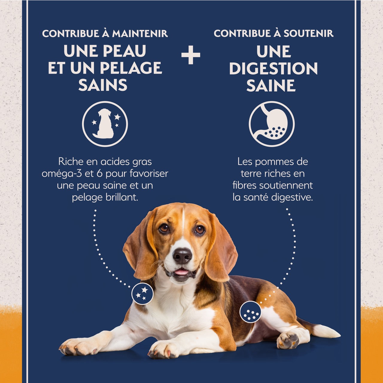 Natural Balance Limited Ingredient Diet Grain Free Duck and Potato Dog Food