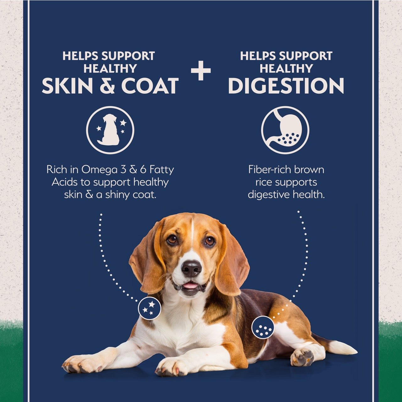 Natural Balance Limited Ingredient Diet Lamb Meal & Rice Dog Food