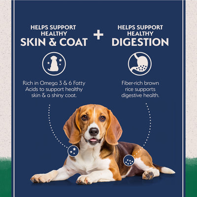 Natural Balance Limited Ingredient Diet Repas d'agneau et riz Nourriture pour chiens
