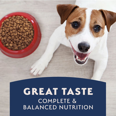 Natural Balance Limited Ingredient Diet Repas d'agneau et riz Nourriture pour chiens