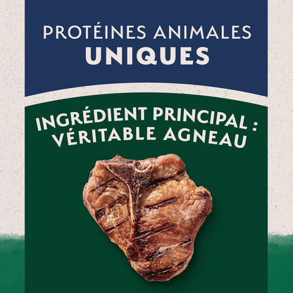 Natural Balance Limited Ingredient Diet Lamb Meal & Rice Dog Food