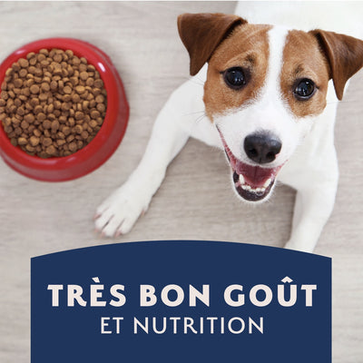 Natural Balance Limited Ingredient Diet Repas d'agneau et riz Nourriture pour chiens