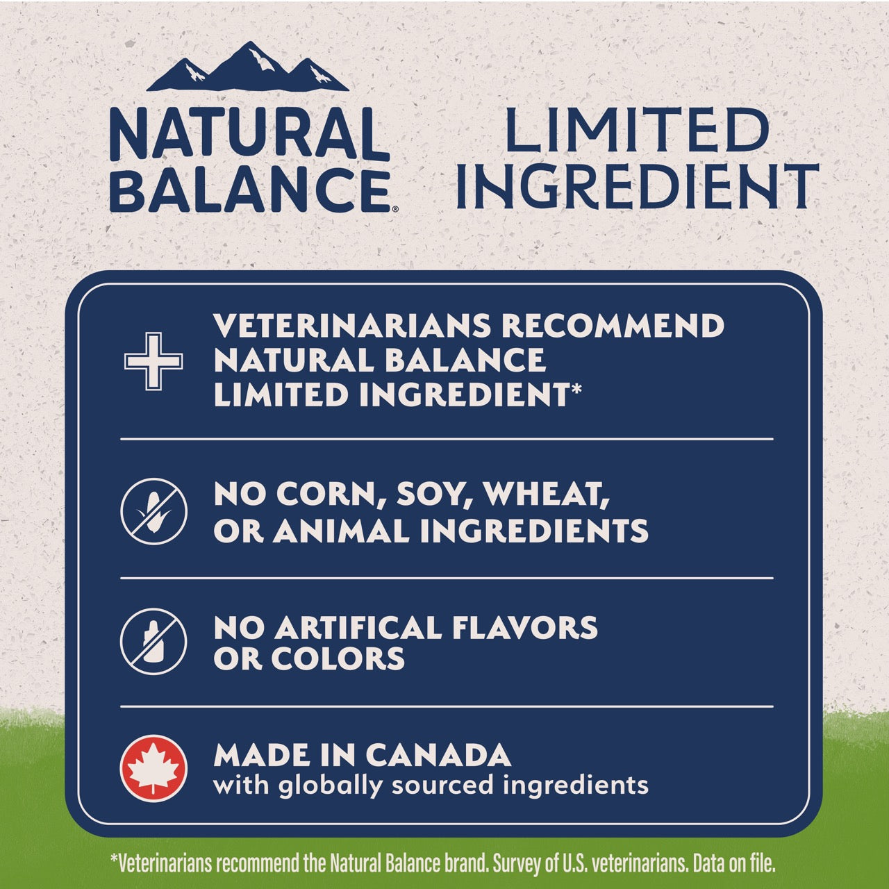 Natural Balance Limited Ingredient Diet Vegetarian Adult Dry Dog Food