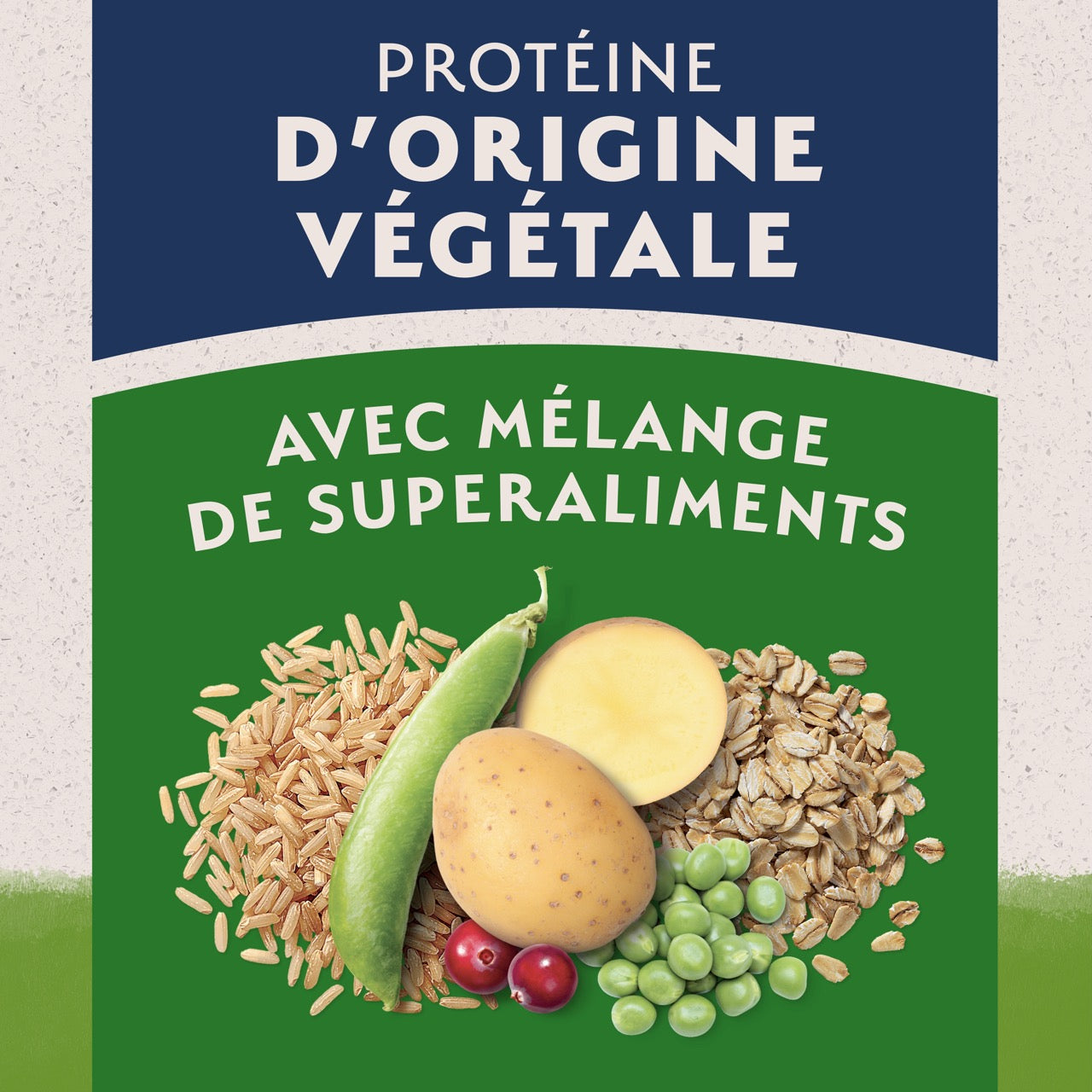 Natural Balance Limited Ingredient Diet Vegetarian Adult Dry Dog Food