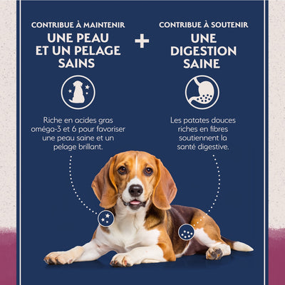 Nourriture pour chiens à base de patates douces et de gibier Natural Balance Limited Ingredient Diet