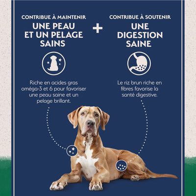Nourriture pour chiens de grande race à base d'ingrédients limités Natural Balance Agneau et riz