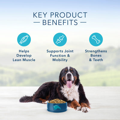 Blue Buffalo Life Protection Dog Food Large Breed Lamb - Image 5 - Blue Buffalo - PetMax Canada