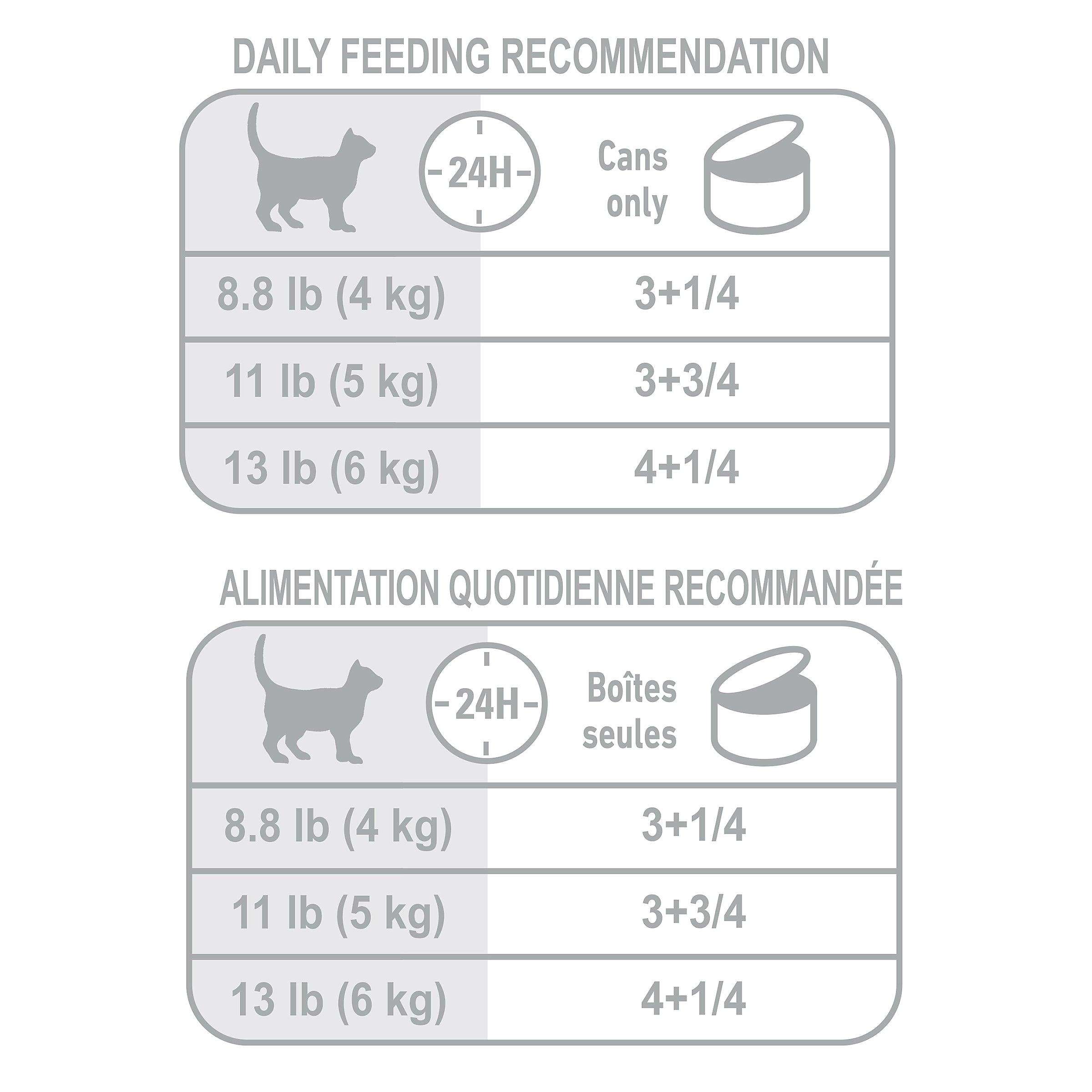 Royal Canin Appetite Control Thin Slices in Gravy Canned Cat Food - 85g - Canned Cat Food - Royal Canin - PetMax Canada