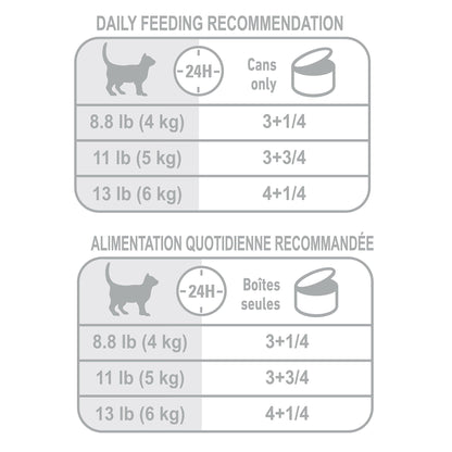 Royal Canin Appetite Control Thin Slices in Gravy Canned Cat Food - 85g - Canned Cat Food - Royal Canin - PetMax Canada