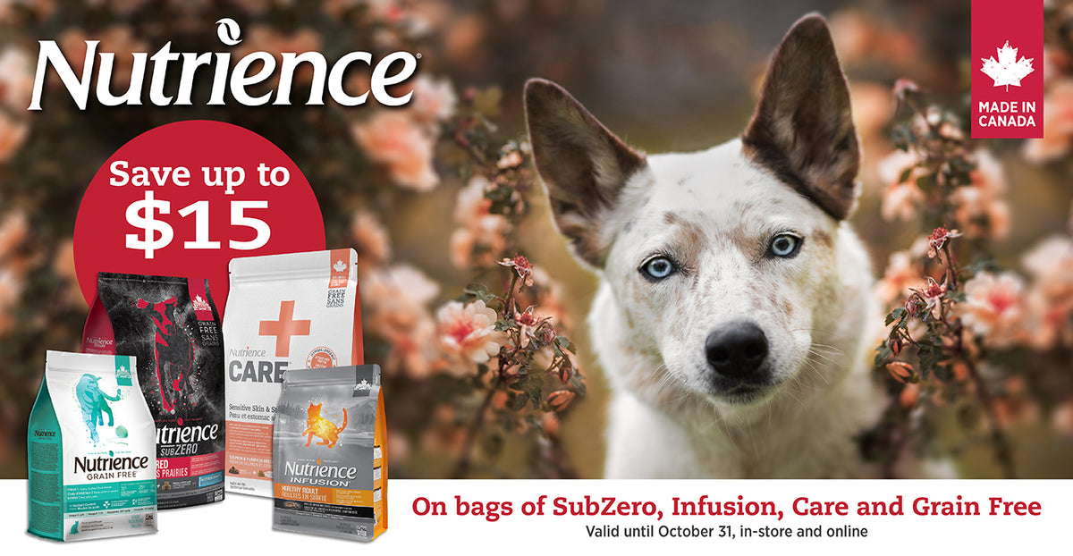 PetMax Pet Supplies & Pet Food Online In Canada Everyday Low Prices