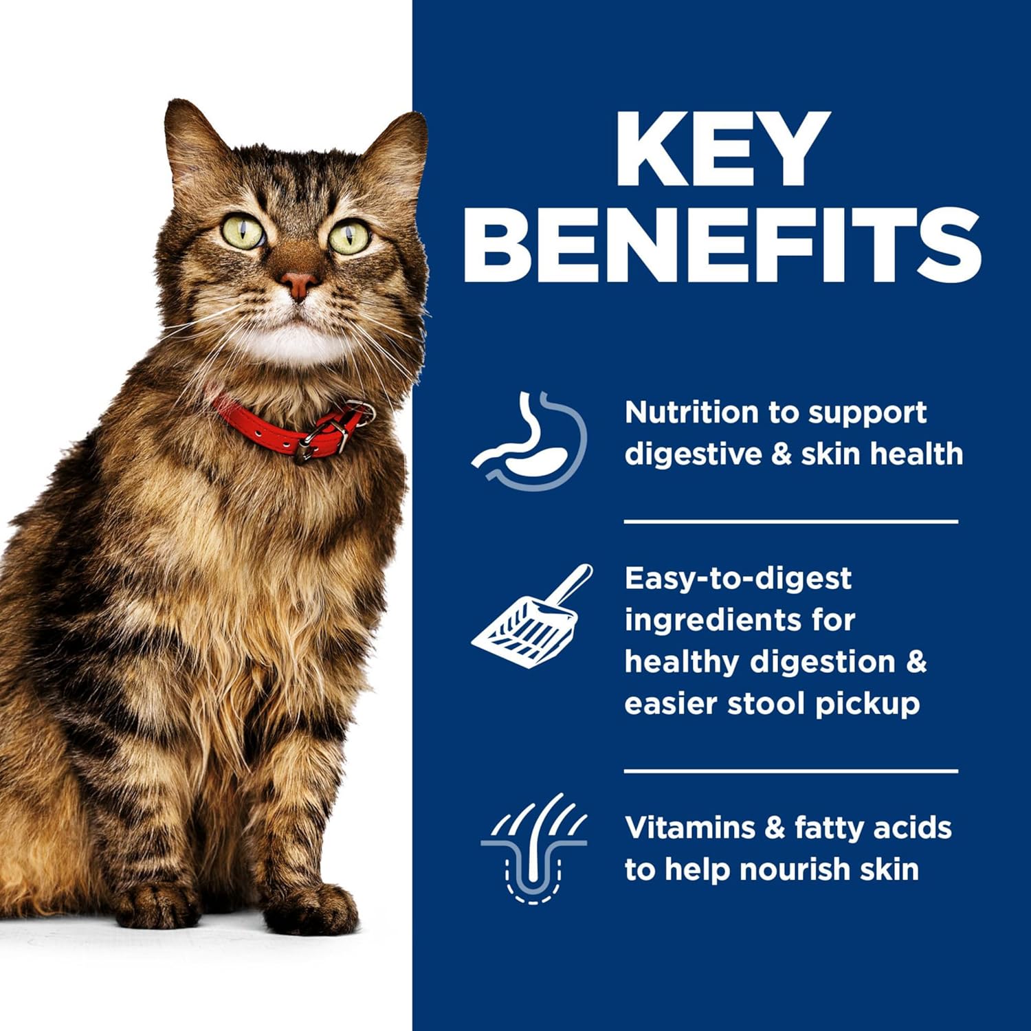 Hills Science Diet cat food variety pack on a white background