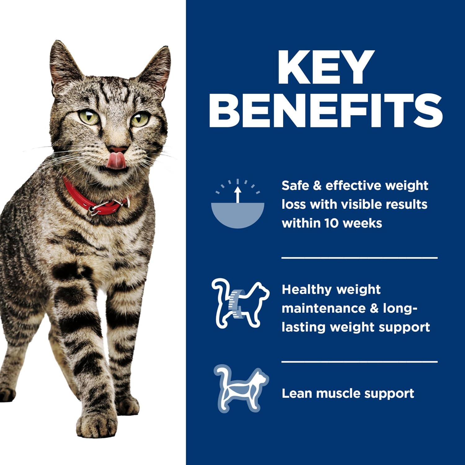 Hill's Science Diet Feline Perfect Weight Variety Pack Canned Cat Food